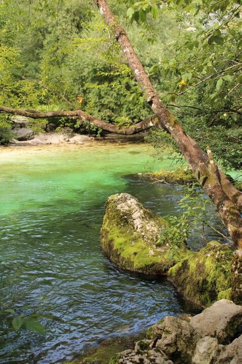 Der Bohinja See Fluß