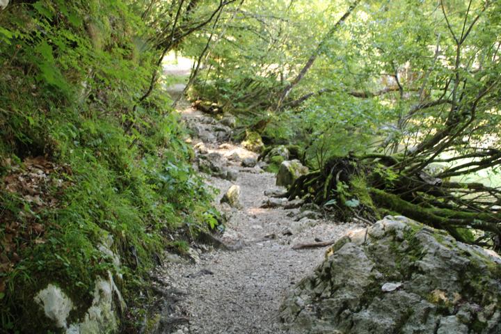 Weg am Der Bohinja See