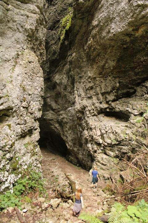 Die Pokljuka Schlucht 