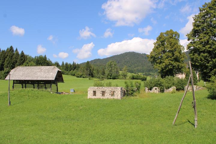 Der Bohinja See Weg dahin