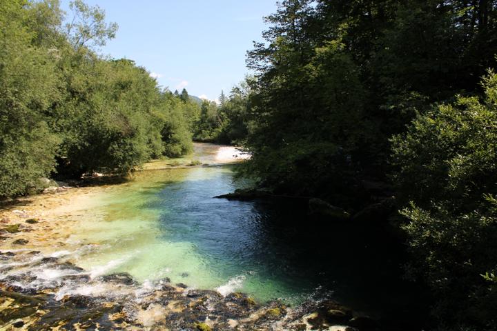 Bach zum Der Bohinja See