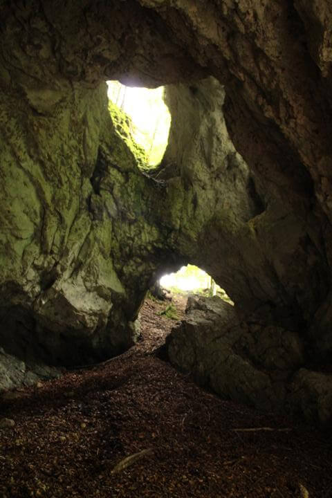 Die Pokljuka Schlucht in der Höhle