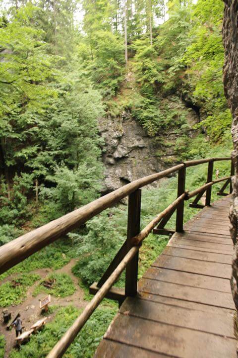 IN der Schlucht