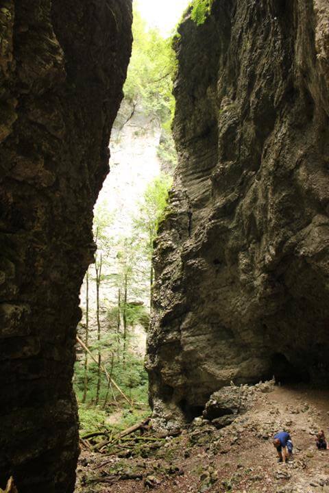 Die Pokljuka Schlucht Tiefe Schlucht