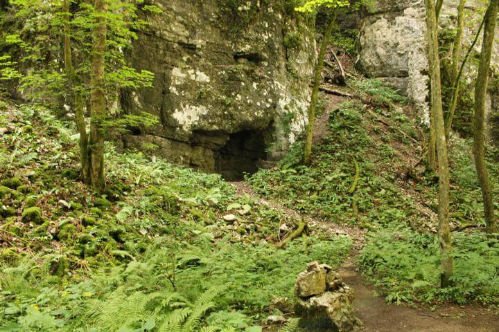 Die Pokljuka Schlucht bewachsene Felsen