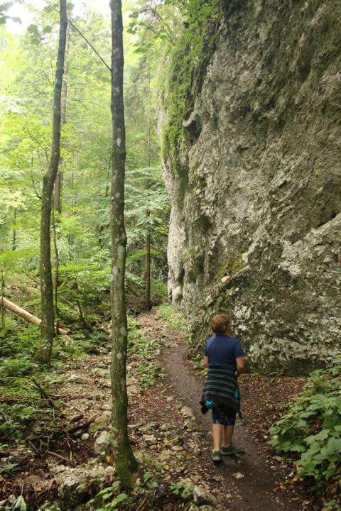 Am Rand der Die Pokljuka Schlucht