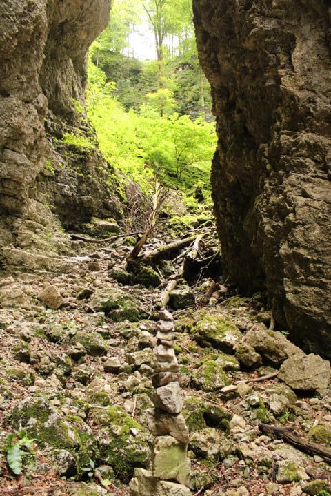 Die Pokljuka Schlucht Schlucht