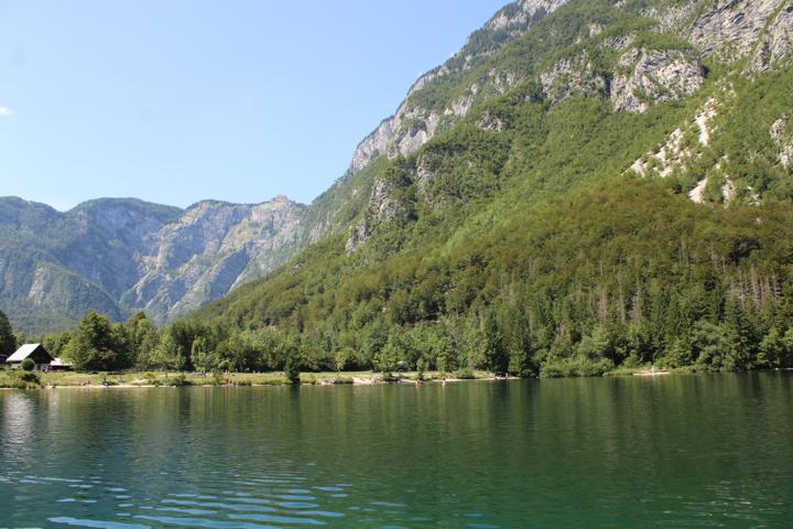 Der Bohinja See Ufer