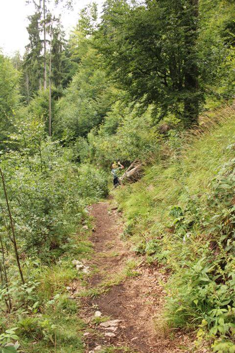 Die Pokljuka Schlucht Weg am Rand 