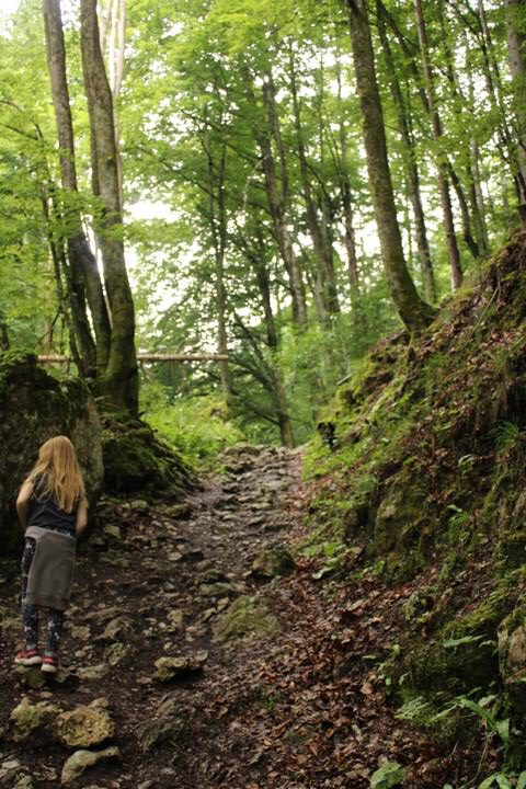 Die Pokljuka Schlucht Felsenweg